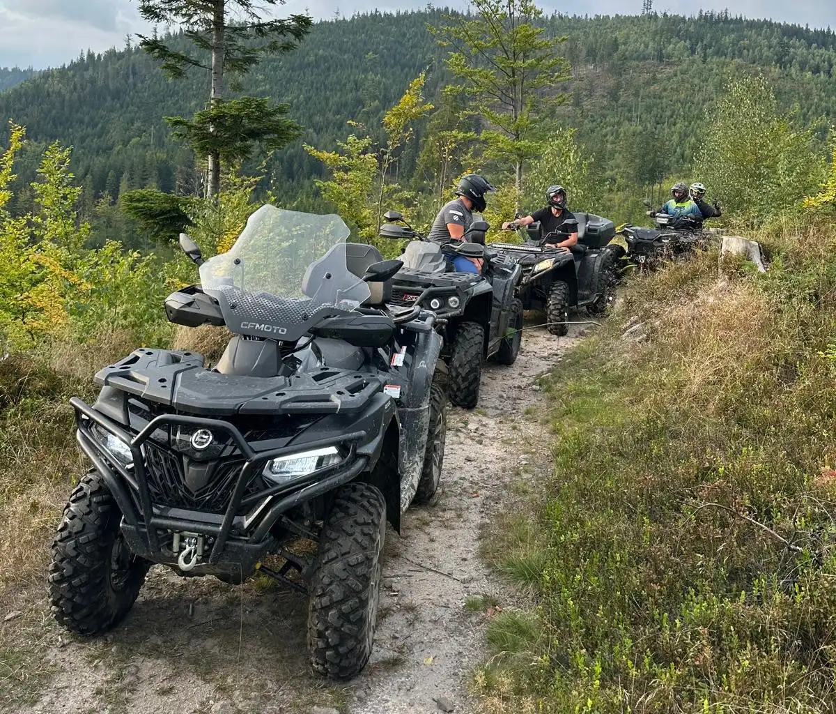 Kolumna quadów na leśnym podjeździe